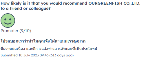 Customer Review 4